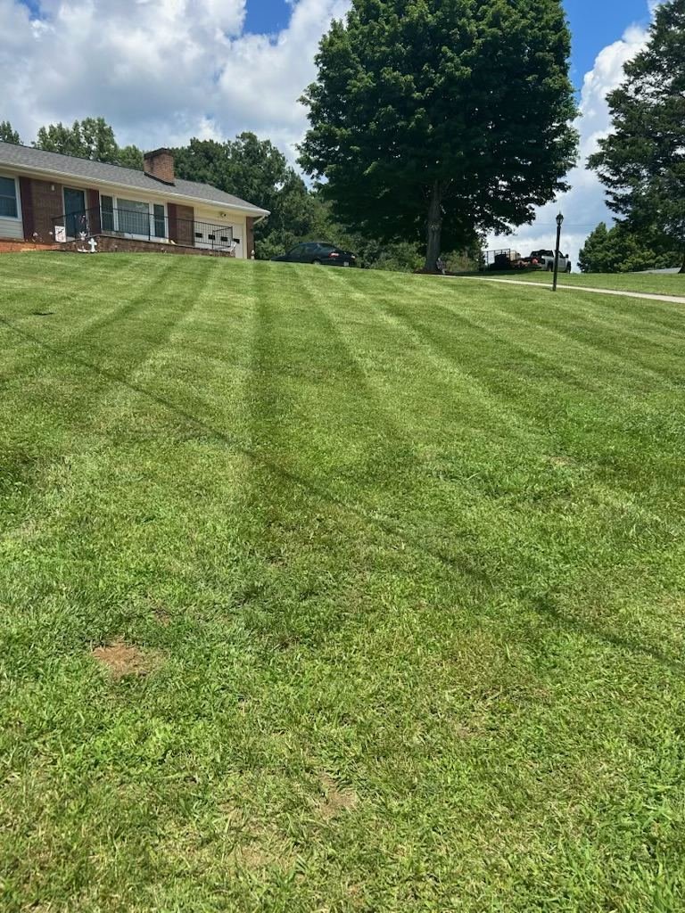 Freshly mowed sloped front yard with striping at a Wilkes County, NC home