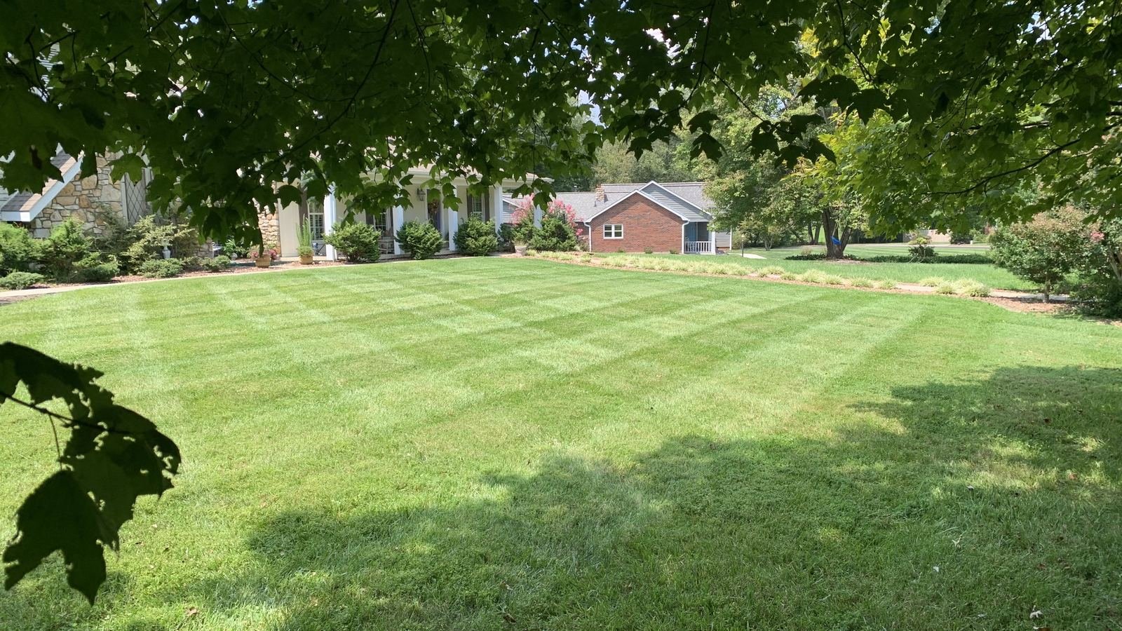 Precision checkerboard mowing pattern on a manicured lawn, an example of Ruben's 35+ years of lawn care craftsmanship in Wilkes County, NC