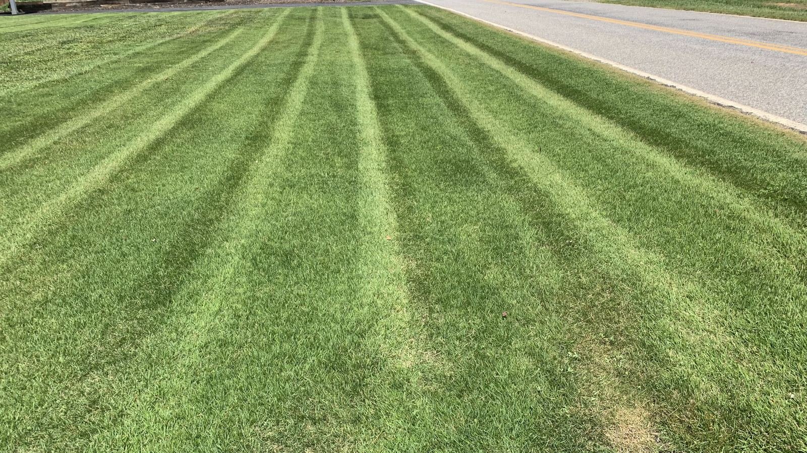 Roadside lawn with crisp mowing stripes maintained by Quality Lawn & Landscape