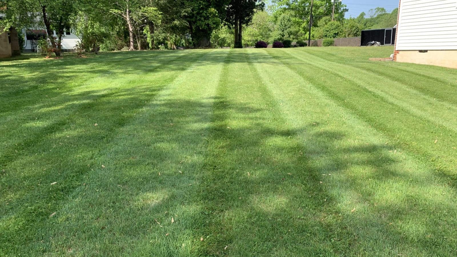 Freshly mowed lawn with crisp mowing stripes, an example of Quality Lawn & Landscape's mowing work in Wilkes County, NC